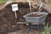Compost Pile