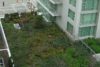 Roof Gardens and Green Roofs