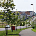 suburban skyline, Photo Credit: Dan Reed